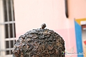 VBS_7772 - Mostra della Ceramica di Castellamonte 2021
